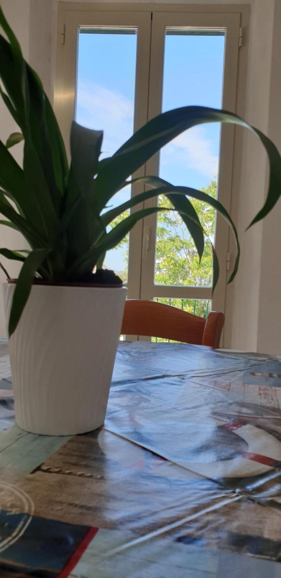 Casa Maddi Con Vista Mare Vicinissima Al Centro Isola D'elba Appartement *